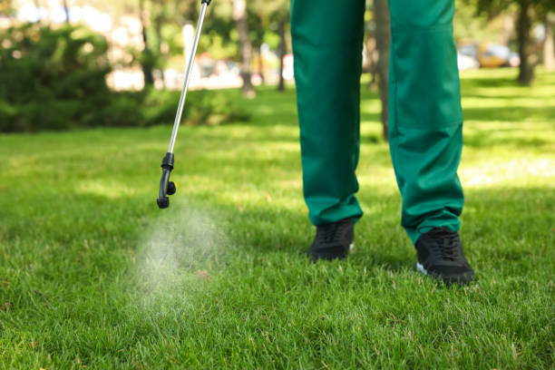 Best Termite Control Services  in Burlingame, CA