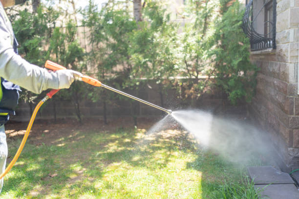 Best Flea Control Services  in Burlingame, CA