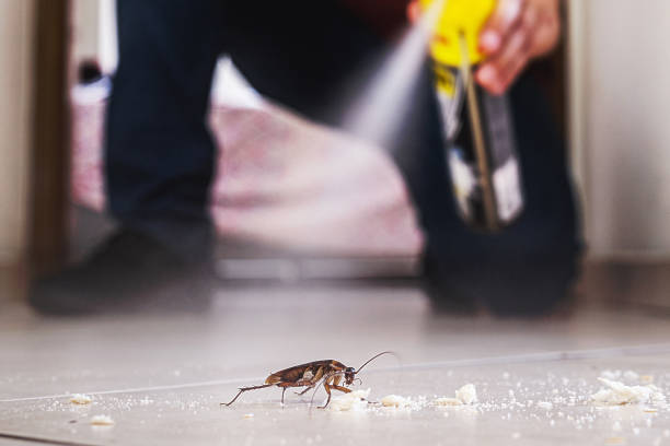 Best Emergency Pest Control  in Burlingame, CA