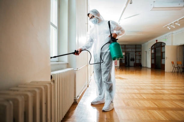 Best Wasp Removal Services  in Burlingame, CA